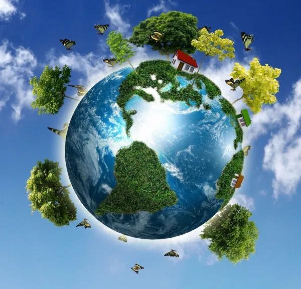 和之乐学开元盛世和园幼儿园大班美丽的地球