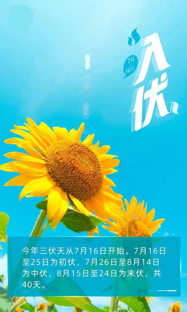 三伏天,是一年中天气最炎热的时候,也是胃肠道疾病高发的季节.