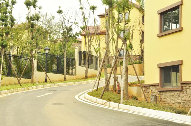 宜良一中旁现房纯墅区均价5888元/平米起 如今库存仅剩三分之一