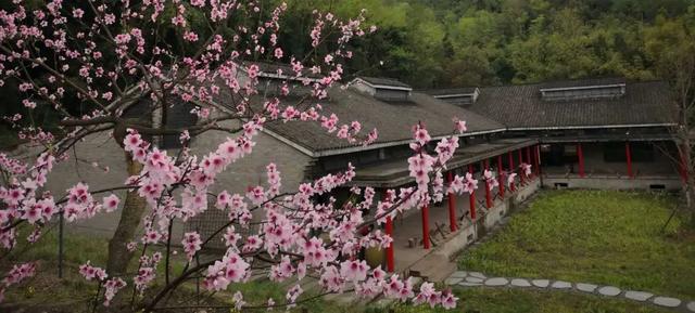 邛崃推动农旅融合发展 在源窝子酒庄体验酿酒与自然