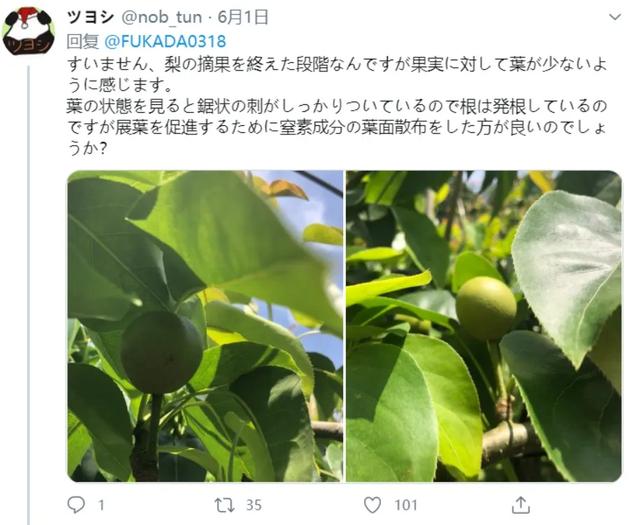 日本成人片女优翻车现场：说好一起搞事，怎么做起了数学题？