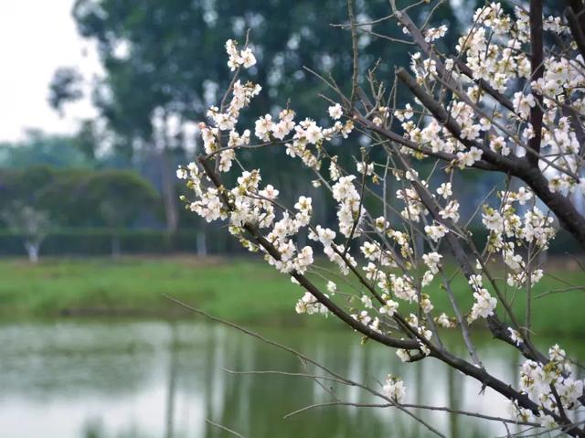 2020年上半年东莞市G_东莞市地图(3)