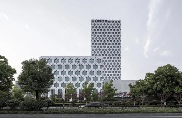 纯粹的六边形立面密集恐惧症别来