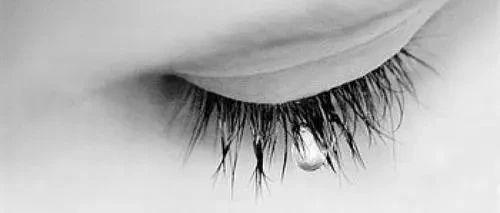 人的眼泪里含有什么物质？