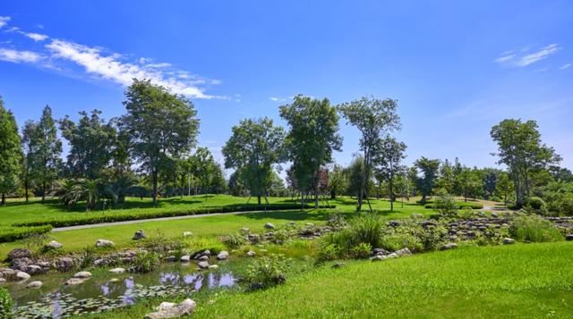 独家!天府中央商务区唯一河湾,竟然美成这样