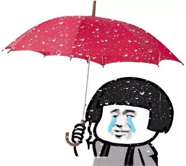 暴雨又来袭......