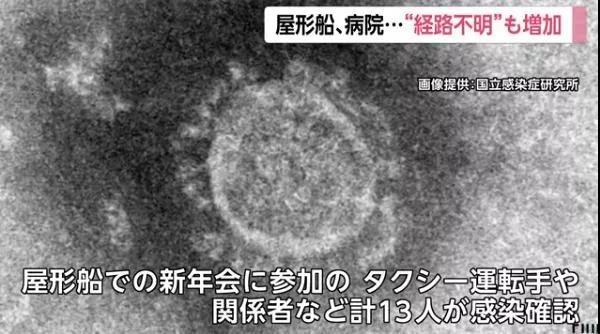 日专家斥责“钻石公主号”防疫工作，称状况“非常悲惨”，日本疫情防控如何？