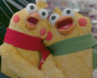 袁伟豪张宝儿好事近？7000万买楼筑爱巢？生日高