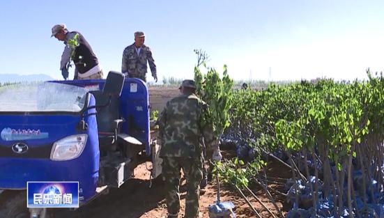 「发展生态产业 助推经济高质量发展」民乐县六