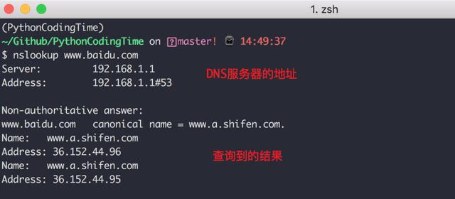 网络知识扫盲，一文搞懂 DNS