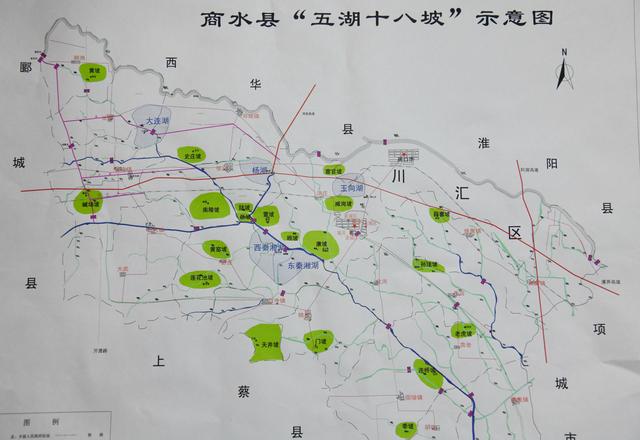 商水毛茶