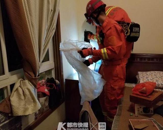 “我亲眼见到蛇钻进洗衣机”，昨晚杭州一房主吓得赶紧报警