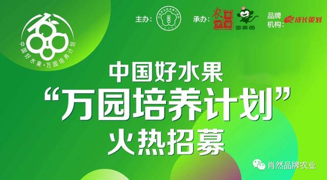 新冠三文鱼可能会改变中国农业未来的命运