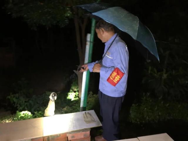 风雨无阻，日夜坚守......