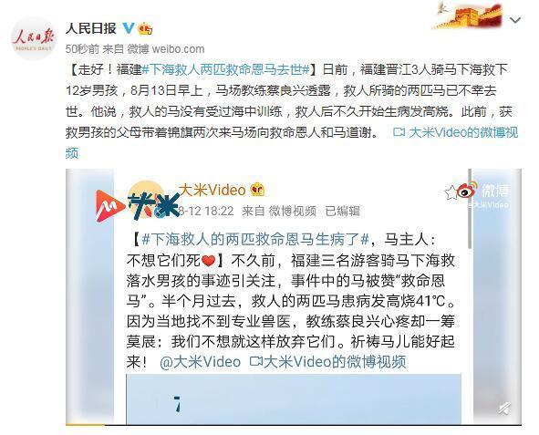 两匹|下海救人两匹救命恩马去世 令人泪目