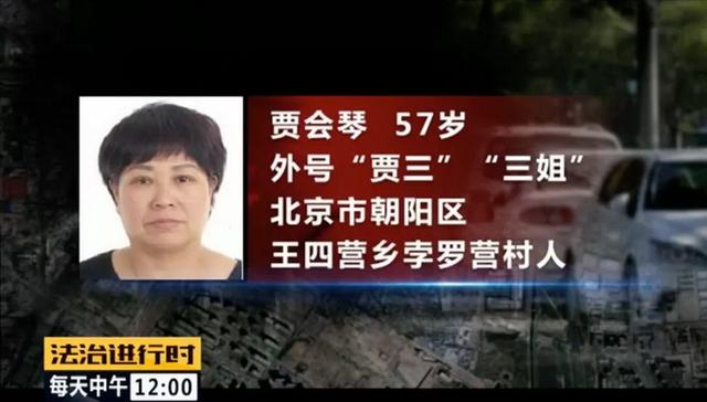 自诩老实人，北京朝阳区“女村霸”欺行霸市14年，获刑15年