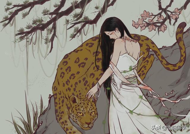 花狸追密码(跪求花狸追校服的解压密码)