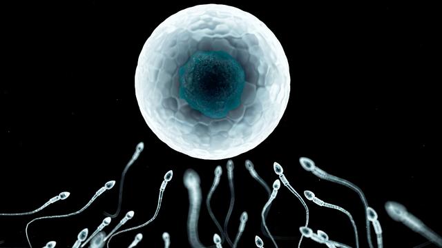 滑精什么意思什么叫滑精是什么意思