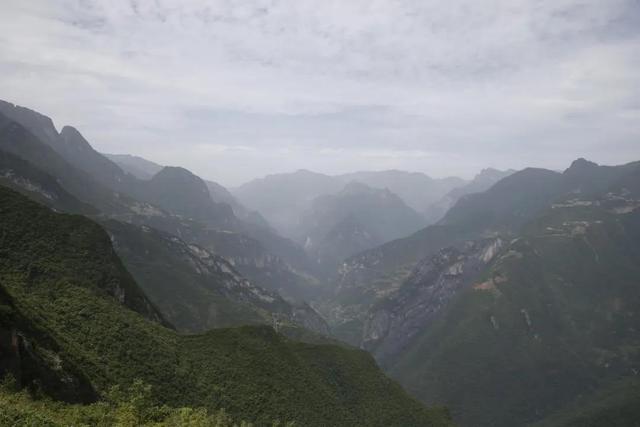 重庆海拔最高峰上有什么？