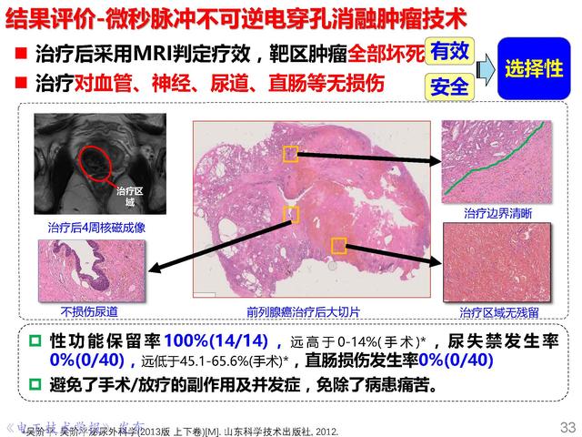前沿技术报告｜重庆大学姚陈果教授：高压超短脉冲技术及应用