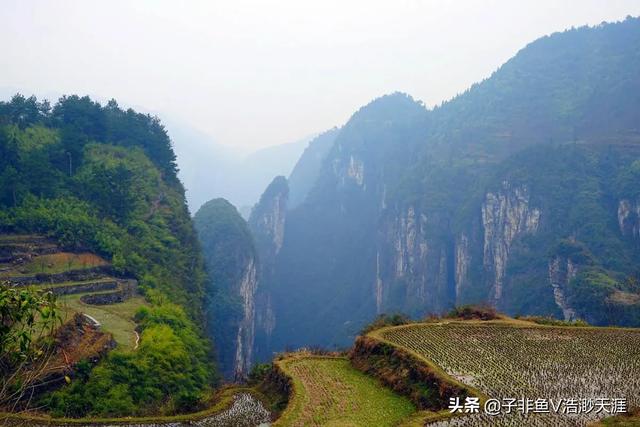 突兀是什麼意思突兀的解釋