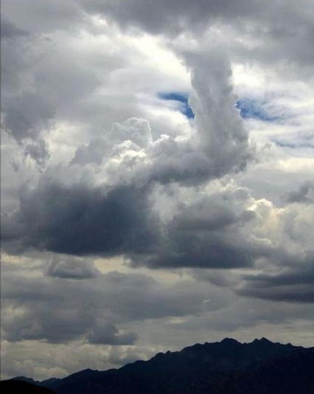 �ƶ������