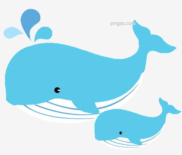 鲸鱼卡通png搜索网 精选免抠素材 透明png图片分享下载 Pngss Com