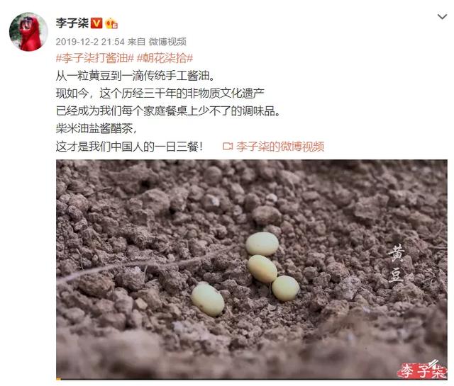 盗版李子柒靠抄袭走红，网友：她的美你抄不来！