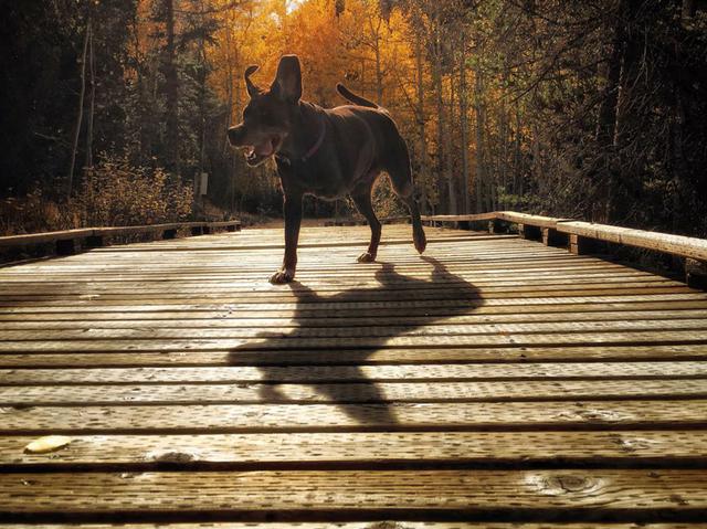 如果分离无法避免，请让我们好好告别