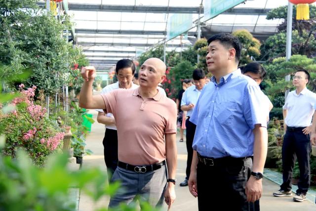 县长彭伟率领淮安考查团抚玩花木城