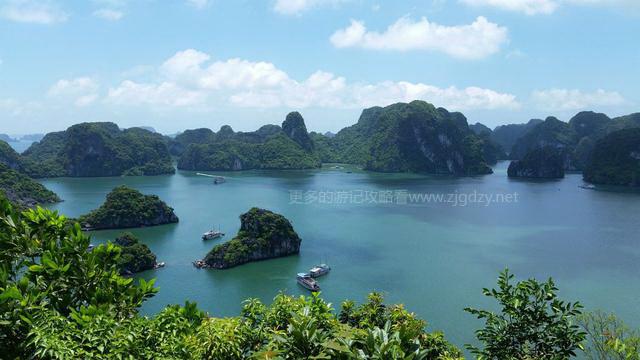 越南暗黑旅游图片