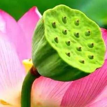 ����̹��¡���ʵ֤�����������ǳ��Ӧ�׽���֪ʶ����