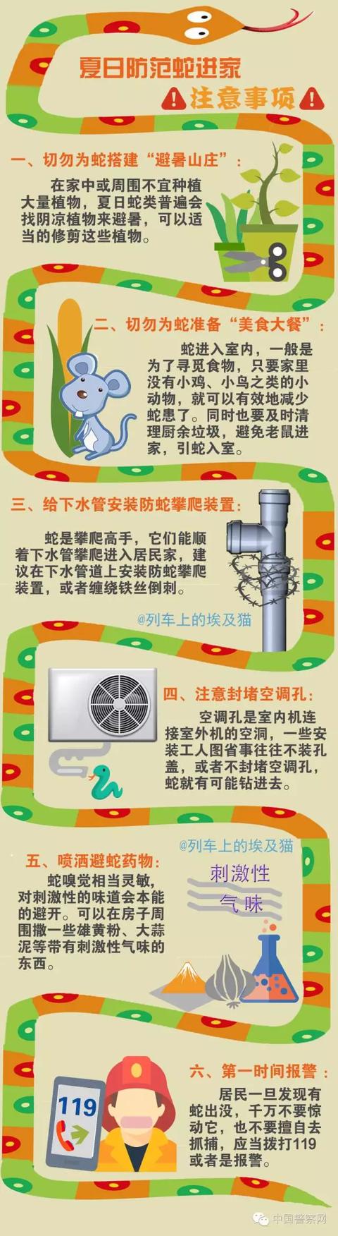 重庆|小心！这里有蛇！