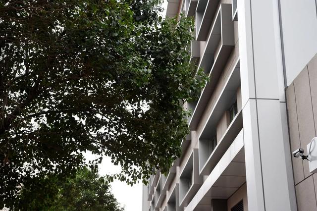 崭新亮相、风景独具！河南省人民医院儿科病区搬新家啦！