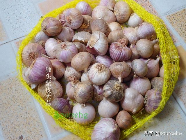 大蒜的这三种存放方法，任意一种，放一年依旧新鲜不长芽，太赞了