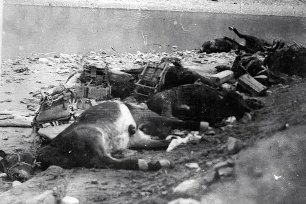 平型关大捷全歼1000多日军，中国伤亡多少人？说