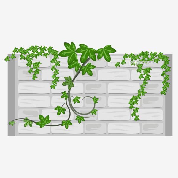 围墙蔓藤植物免抠png透明图层素材png搜索网 精选免抠素材 透明png图片分享下载 Pngss Com