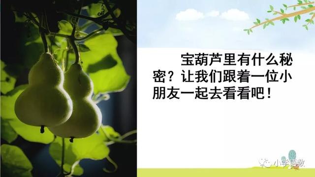《宝葫芦的秘密》教学内容ppt课件图片预习-跟我学语文