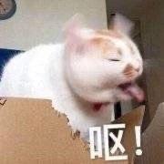 罗志祥回应出轨，这是承认自己私生活混乱？