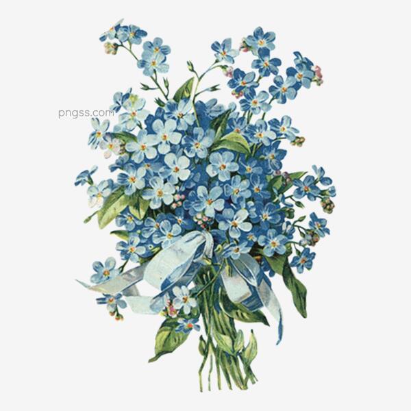 淡蓝色花卉手绘植物素材png搜索网 精选免抠素材 透明png图片分享下载 Pngss Com