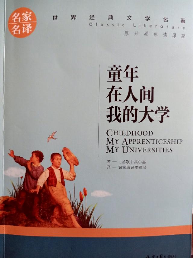 找一本很早以前的小说 关键词是 恐龙基因改造 大学迷