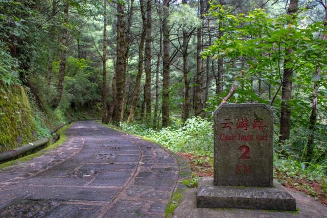 雨季徒步大理蒼山海拔2600米的玉帶雲遊路涼意十足