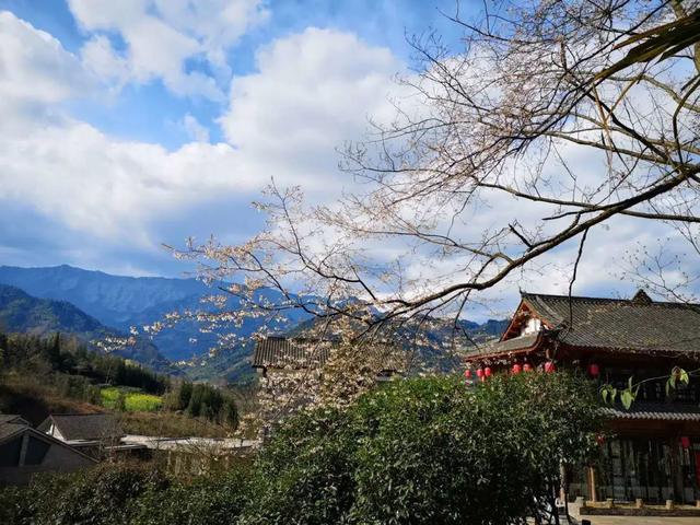 邛崃推动农旅融合发展 在源窝子酒庄体验酿酒与自然