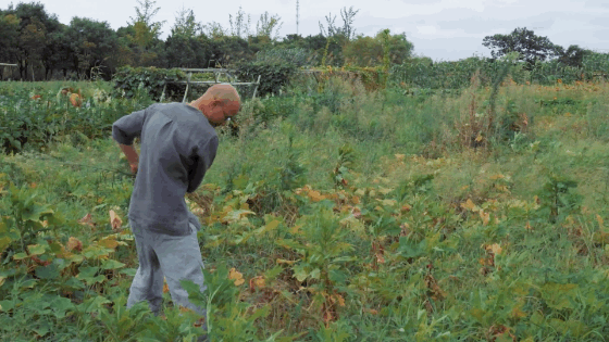 夫妻抵押掉上海独栋洋房，借1300万到乡下造房：我自在了