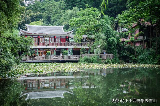 中国性价比最高的公园，为国家4A级景区只收5元门票，就在贵阳！