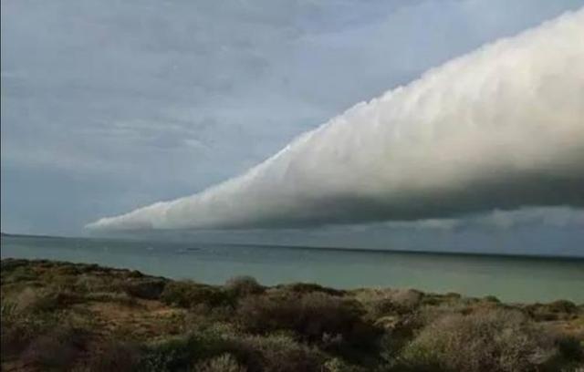 �ƶ������