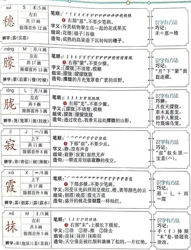 白桦生字组词图片