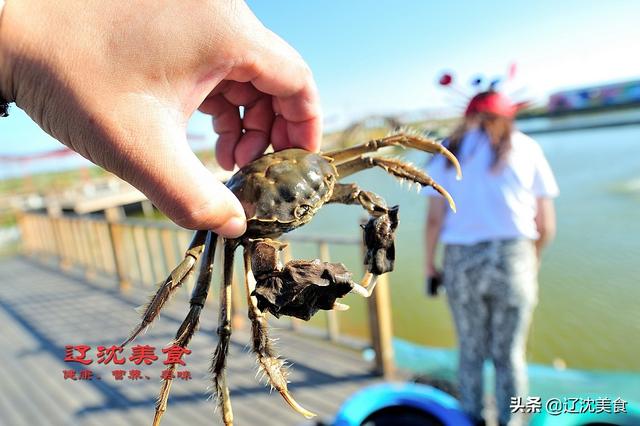 吃螃蟹要防寒，四个不能吃的部位，知道在哪里吗？