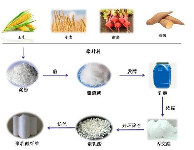 生物降解塑料一哥：聚乳酸应用！PLA未来有望释放超百万吨产能