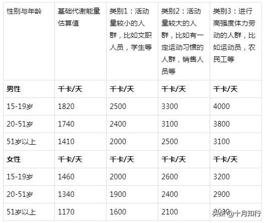 少吃多動就能瘦？做不到這四點，少吃多動了也瘦不下來